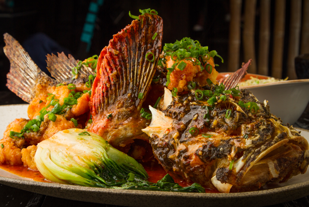 LaMar-LATAM-2018-DISH2